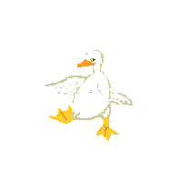 dancing duck