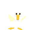 dancing duck